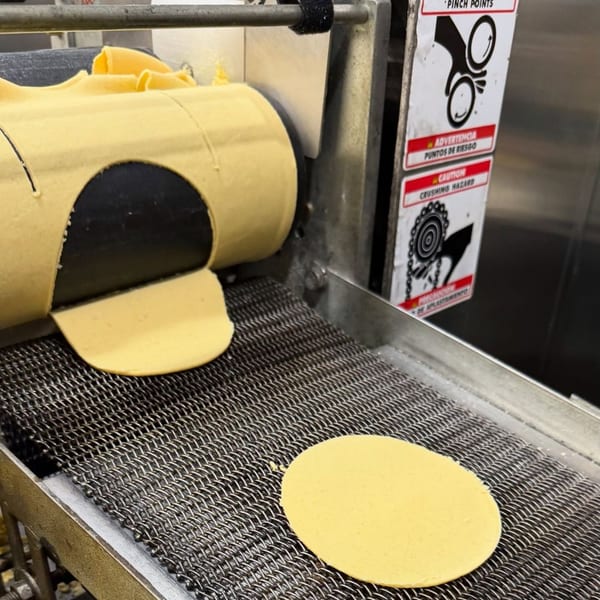 Freshly pressed corn tortillas moving along a metal conveyor belt in a Taqueria Monterrey kitchen.